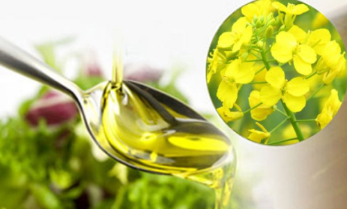 怎樣查菜油期貨價(jià)格？菜油期貨保證