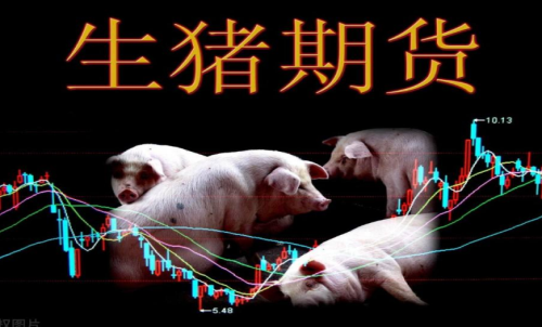 生豬期貨的作用和交易規則有哪些？