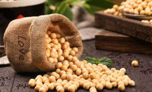 什么是豆粕期貨？豆粕期貨標(biāo)的物介