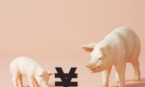 一手生豬期貨交易成本要多少錢？保